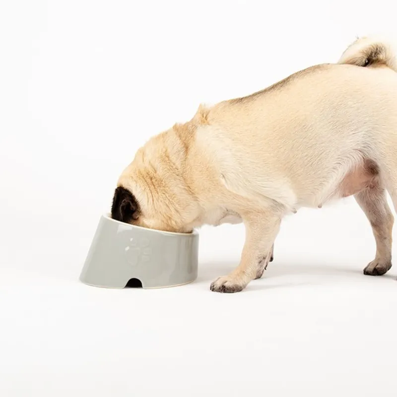 Scruffs Classic Flat Faced Pet Bowl-1